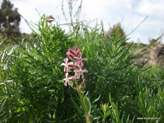 zzena-07-04-2013 08-37-47